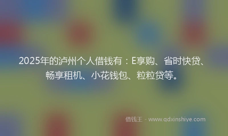2025年的泸州个人借钱有：E享购、省时快贷、畅享租机、小花钱包、粒粒贷等。