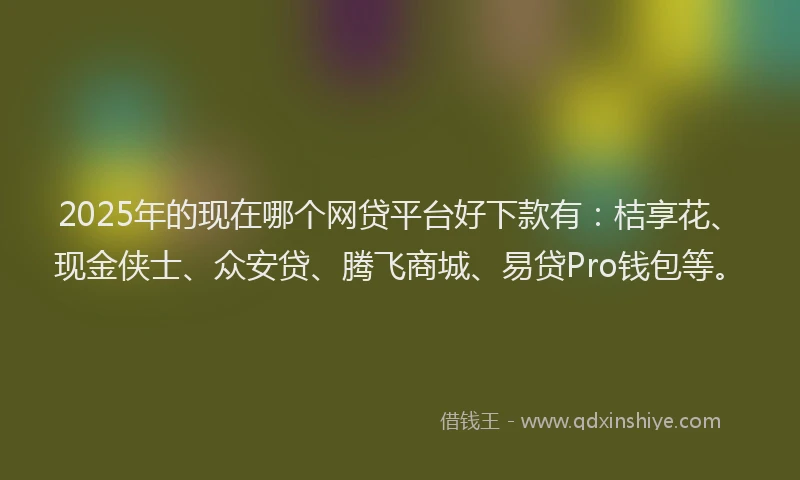 2025年的现在哪个网贷平台好下款有：桔享花、现金侠士、众安贷、腾飞商城、易贷Pro钱包等。