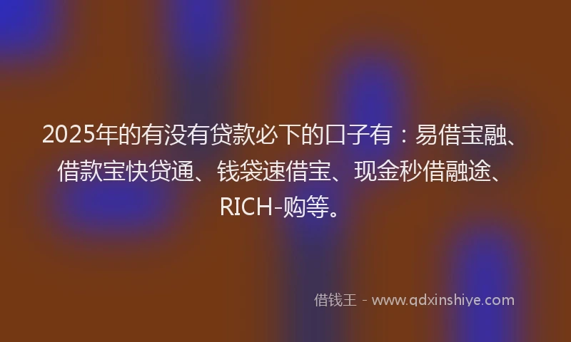 2025年的有没有贷款必下的口子有：易借宝融、借款宝快贷通、钱袋速借宝、现金秒借融途、RICH-购等。