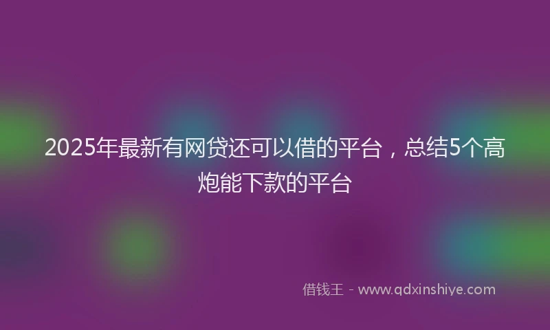 2025年最新有网贷还可以借的平台，总结5个高炮能下款的平台