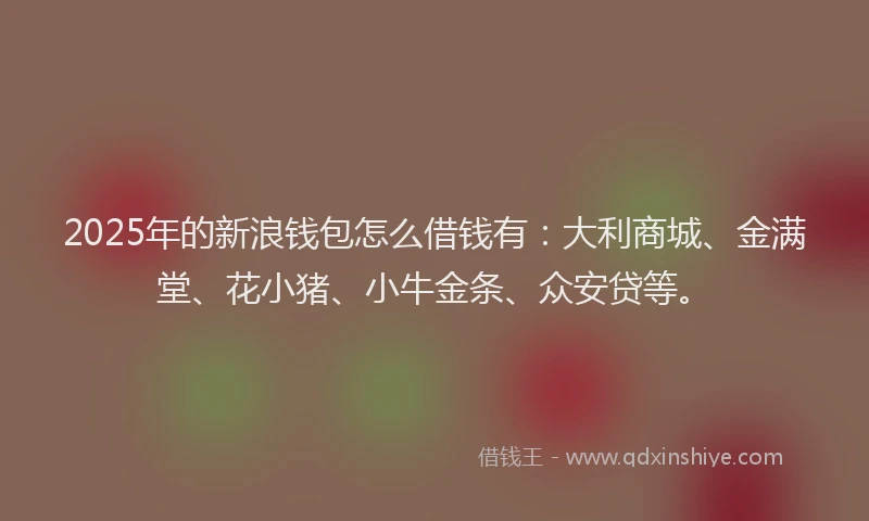 2025年的新浪钱包怎么借钱有：大利商城、金满堂、花小猪、小牛金条、众安贷等。