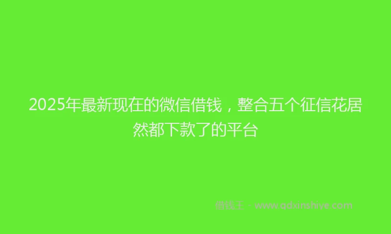2025年最新现在的微信借钱，整合五个征信花居然都下款了的平台