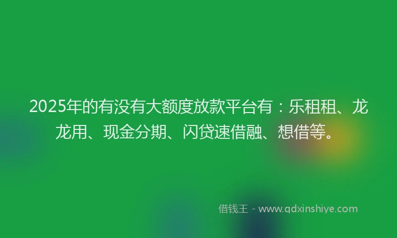 2025年的有没有大额度放款平台有：乐租租、龙龙用、现金分期、闪贷速借融、想借等。