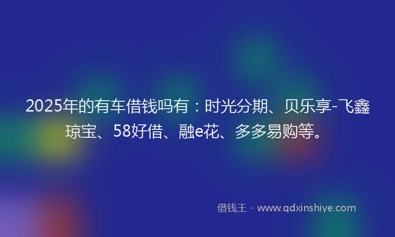 2025年的有车借钱吗有：时光分期、贝乐享-飞鑫琼宝、58好借、融e花、多多易购等。