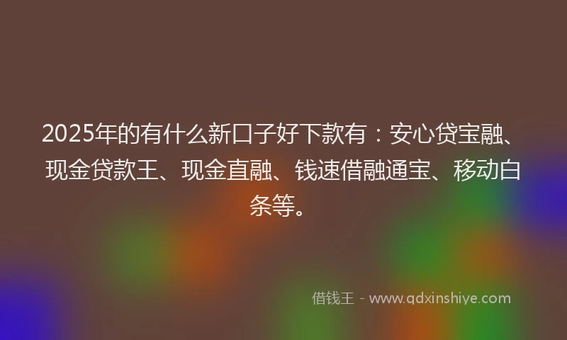 2025年的有什么新口子好下款有：安心贷宝融、现金贷款王、现金直融、钱速借融通宝、移动白条等。