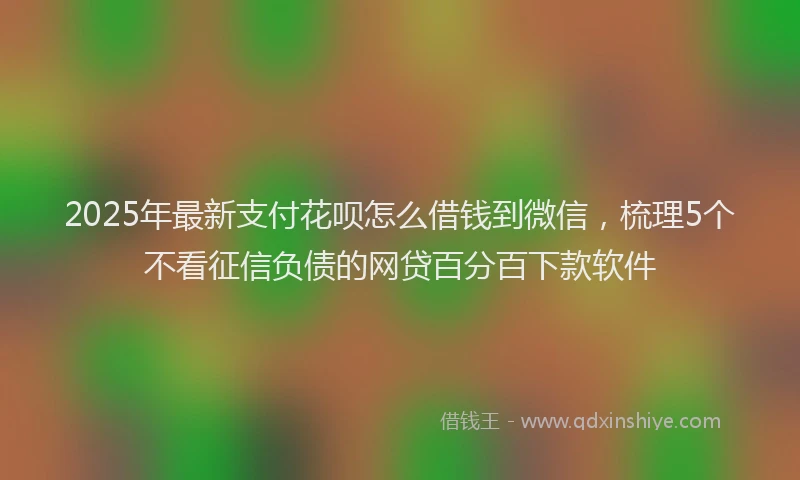 2025年最新支付花呗怎么借钱到微信，梳理5个不看征信负债的网贷百分百下款软件