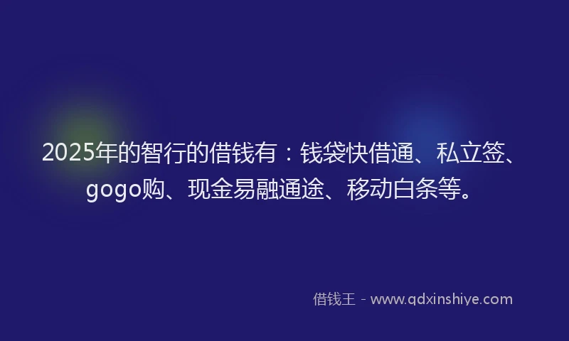 2025年的智行的借钱有：钱袋快借通、私立签、gogo购、现金易融通途、移动白条等。