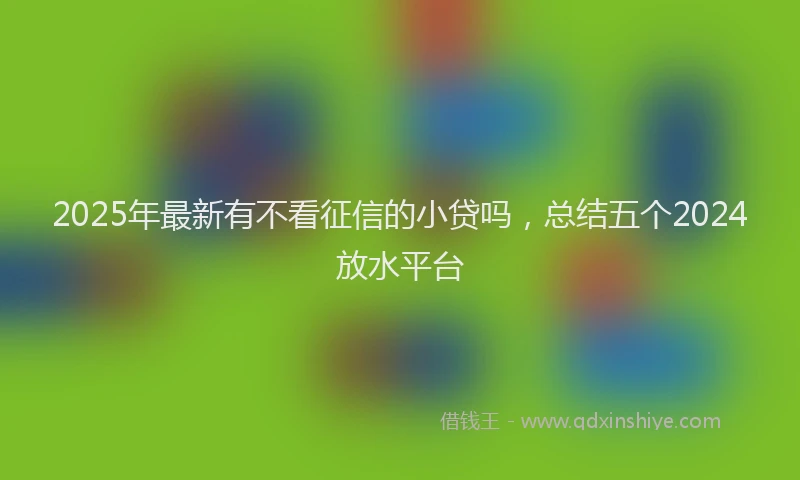 2025年最新有不看征信的小贷吗，总结五个2024放水平台