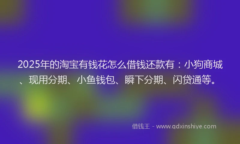 2025年的淘宝有钱花怎么借钱还款有：小狗商城、现用分期、小鱼钱包、瞬下分期、闪贷通等。