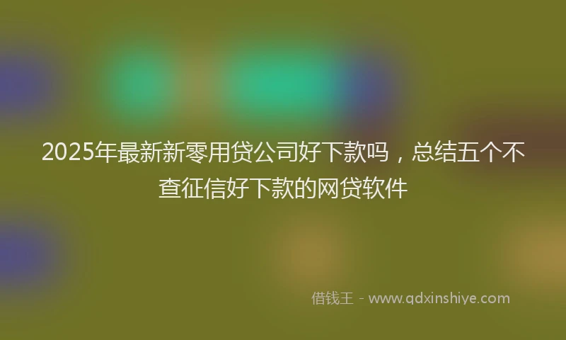 2025年最新新零用贷公司好下款吗，总结五个不查征信好下款的网贷软件
