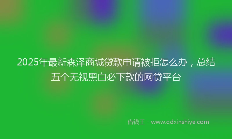 2025年最新森泽商城贷款申请被拒怎么办，总结五个无视黑白必下款的网贷平台