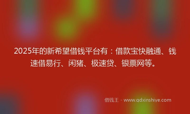 2025年的新希望借钱平台有：借款宝快融通、钱速借易行、闲猪、极速贷、银票网等。