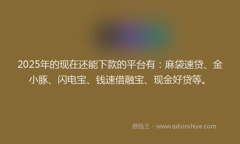 2025年的现在还能下款的平台有：麻袋速贷、金小豚、闪电宝、钱速借融宝、现金好贷等。