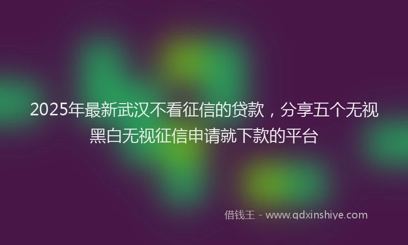 2025年最新武汉不看征信的贷款，分享五个无视黑白无视征信申请就下款的平台