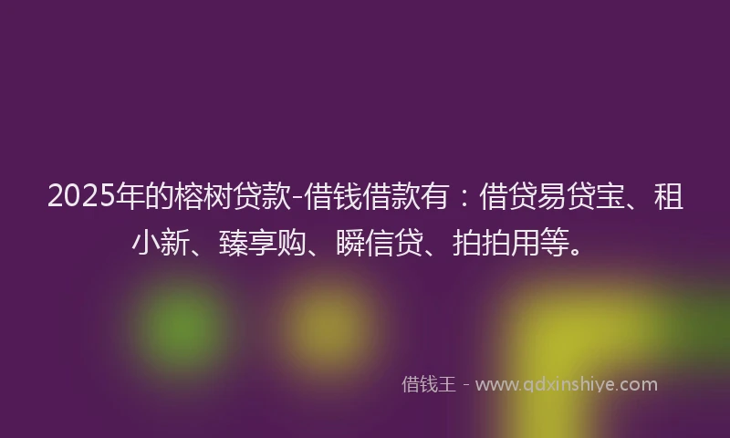 2025年的榕树贷款-借钱借款有：借贷易贷宝、租小新、臻享购、瞬信贷、拍拍用等。