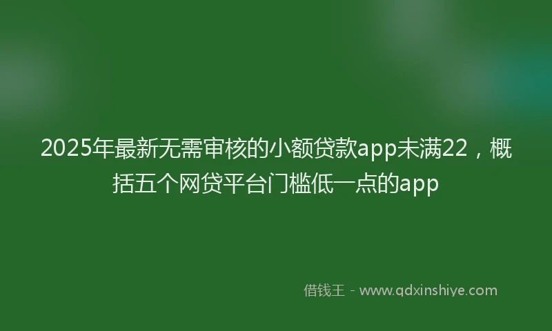 2025年最新无需审核的小额贷款app未满22，概括五个网贷平台门槛低一点的app