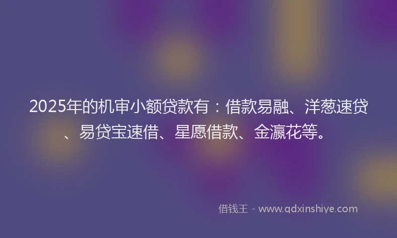 2025年的机审小额贷款有：借款易融、洋葱速贷、易贷宝速借、星愿借款、金瀛花等。