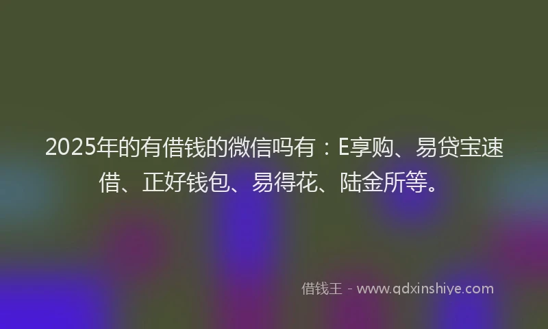 2025年的有借钱的微信吗有：E享购、易贷宝速借、正好钱包、易得花、陆金所等。