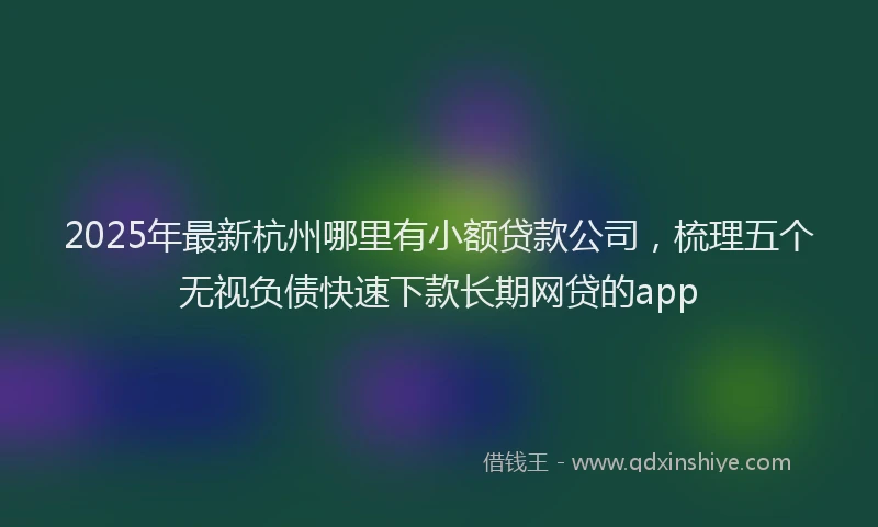 2025年最新杭州哪里有小额贷款公司，梳理五个无视负债快速下款长期网贷的app