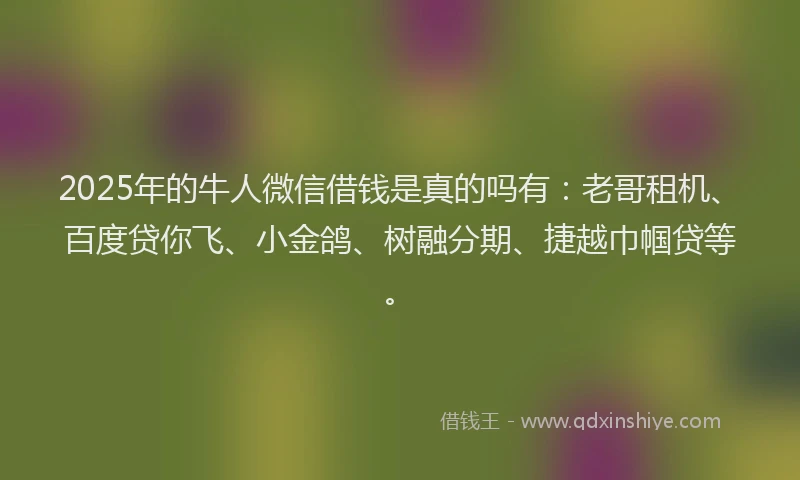 2025年的牛人微信借钱是真的吗有：老哥租机、百度贷你飞、小金鸽、树融分期、捷越巾帼贷等。