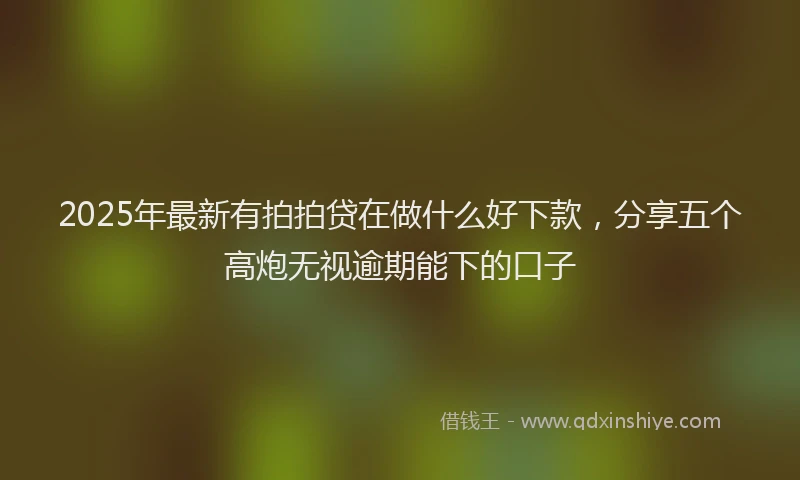 2025年最新有拍拍贷在做什么好下款，分享五个高炮无视逾期能下的口子