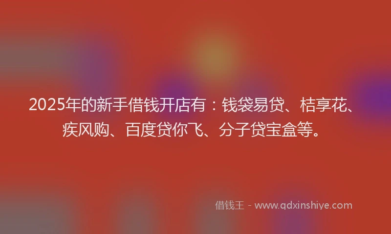 2025年的新手借钱开店有：钱袋易贷、桔享花、疾风购、百度贷你飞、分子贷宝盒等。