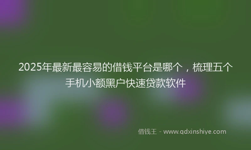 2025年最新最容易的借钱平台是哪个，梳理五个手机小额黑户快速贷款软件
