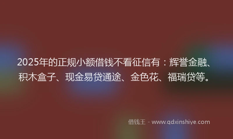 2025年的正规小额借钱不看征信有：辉誉金融、积木盒子、现金易贷通途、金色花、福瑞贷等。