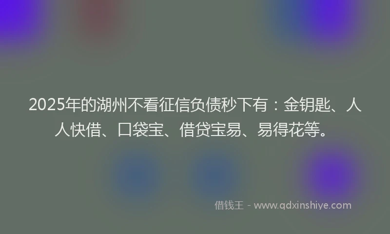 2025年的湖州不看征信负债秒下有：金钥匙、人人快借、口袋宝、借贷宝易、易得花等。