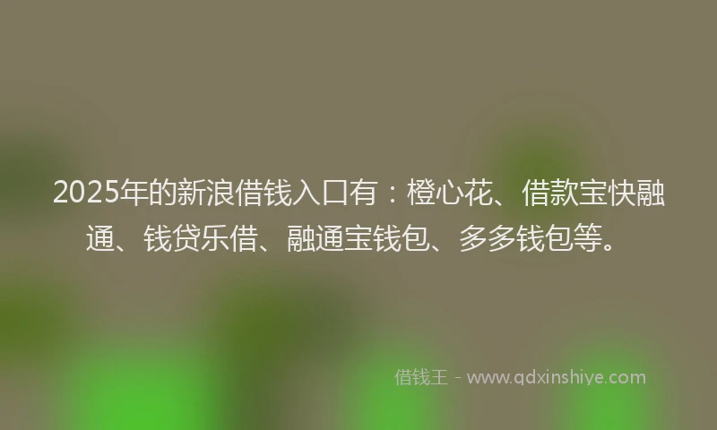 2025年的新浪借钱入口有：橙心花、借款宝快融通、钱贷乐借、融通宝钱包、多多钱包等。