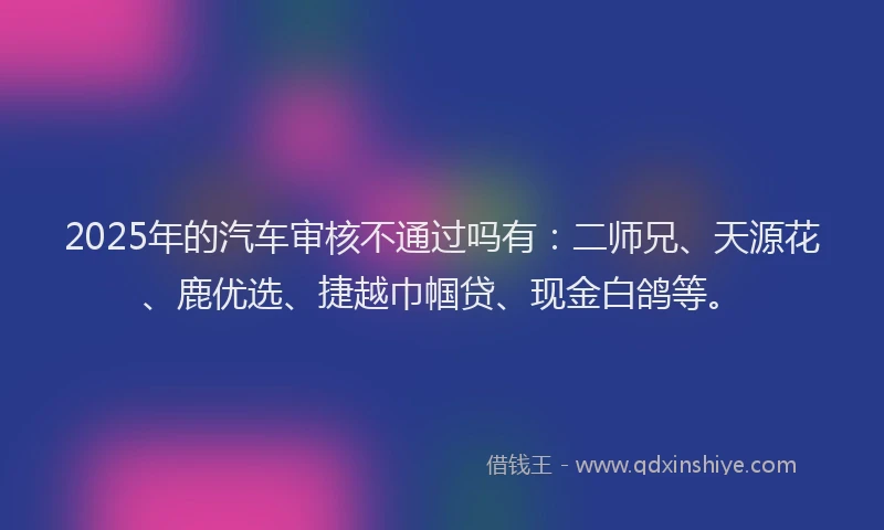 2025年的汽车审核不通过吗有：二师兄、天源花、鹿优选、捷越巾帼贷、现金白鸽等。
