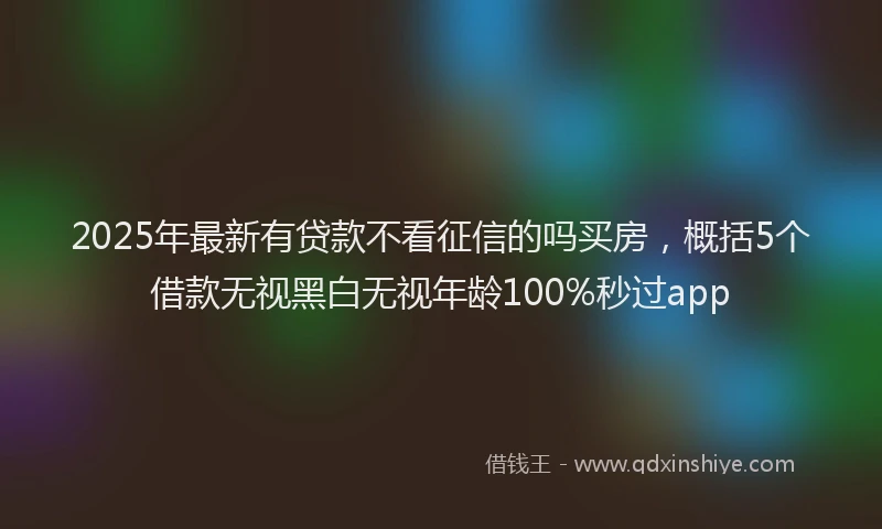 2025年最新有贷款不看征信的吗买房，概括5个借款无视黑白无视年龄100%秒过app