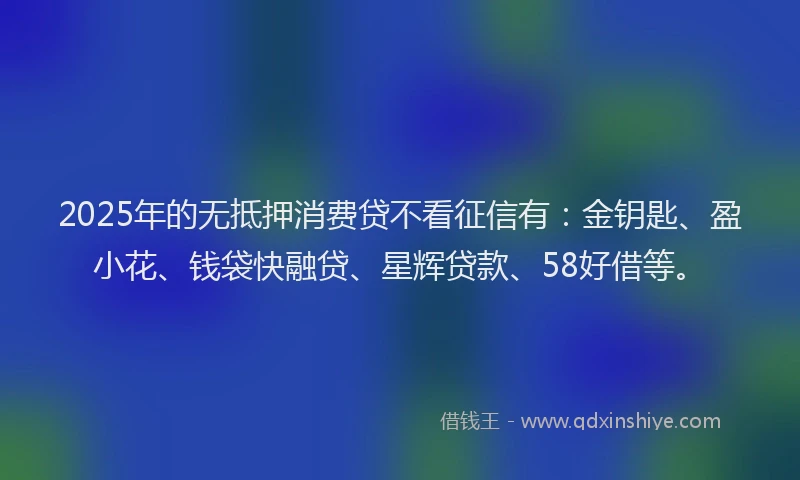 2025年的无抵押消费贷不看征信有：金钥匙、盈小花、钱袋快融贷、星辉贷款、58好借等。