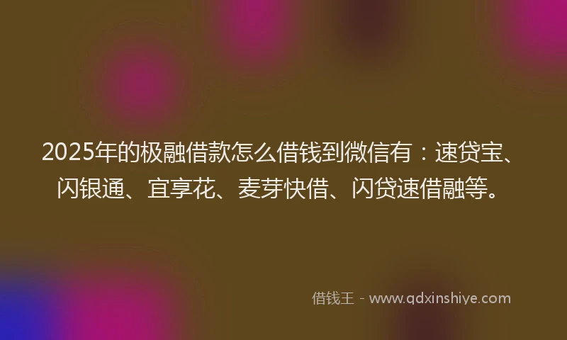 2025年的极融借款怎么借钱到微信有：速贷宝、闪银通、宜享花、麦芽快借、闪贷速借融等。