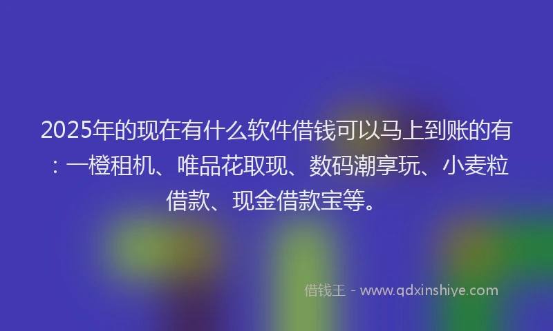 2025年的现在有什么软件借钱可以马上到账的有：一橙租机、唯品花取现、数码潮享玩、小麦粒借款、现金借款宝等。