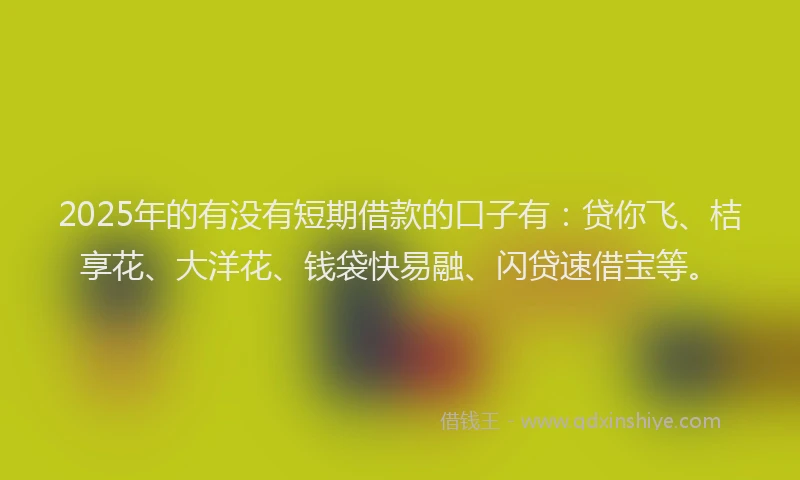 2025年的有没有短期借款的口子有：贷你飞、桔享花、大洋花、钱袋快易融、闪贷速借宝等。