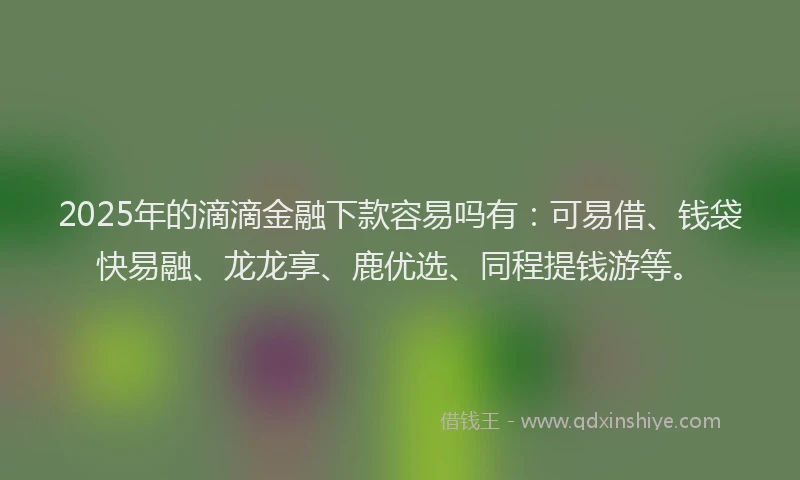 2025年的滴滴金融下款容易吗有：可易借、钱袋快易融、龙龙享、鹿优选、同程提钱游等。