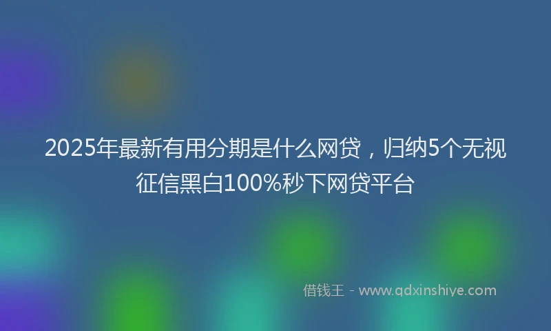 2025年最新有用分期是什么网贷，归纳5个无视征信黑白100%秒下网贷平台