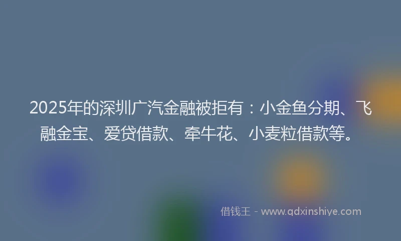 2025年的深圳广汽金融被拒有：小金鱼分期、飞融金宝、爱贷借款、牵牛花、小麦粒借款等。