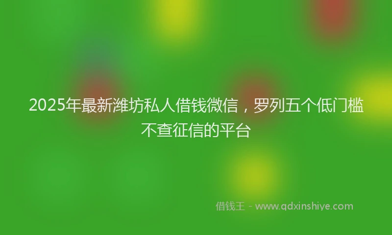 2025年最新潍坊私人借钱微信，罗列五个低门槛不查征信的平台