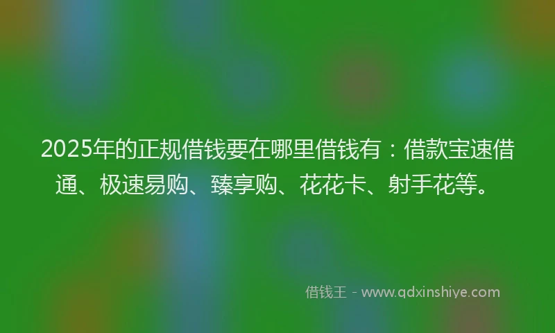 2025年的正规借钱要在哪里借钱有：借款宝速借通、极速易购、臻享购、花花卡、射手花等。
