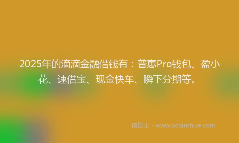 2025年的滴滴金融借钱有：普惠Pro钱包、盈小花、速借宝、现金快车、瞬下分期等。