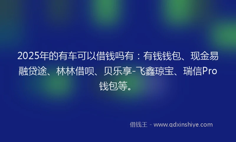 2025年的有车可以借钱吗有：有钱钱包、现金易融贷途、林林借呗、贝乐享-飞鑫琼宝、瑞信Pro钱包等。