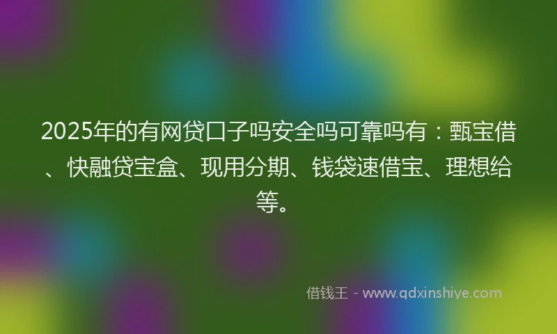 2025年的有网贷口子吗安全吗可靠吗有：甄宝借、快融贷宝盒、现用分期、钱袋速借宝、理想给等。