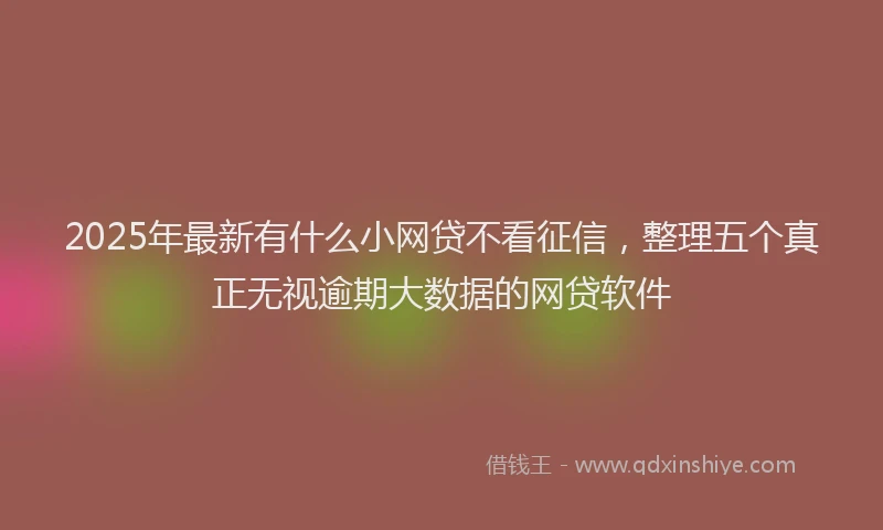 2025年最新有什么小网贷不看征信，整理五个真正无视逾期大数据的网贷软件