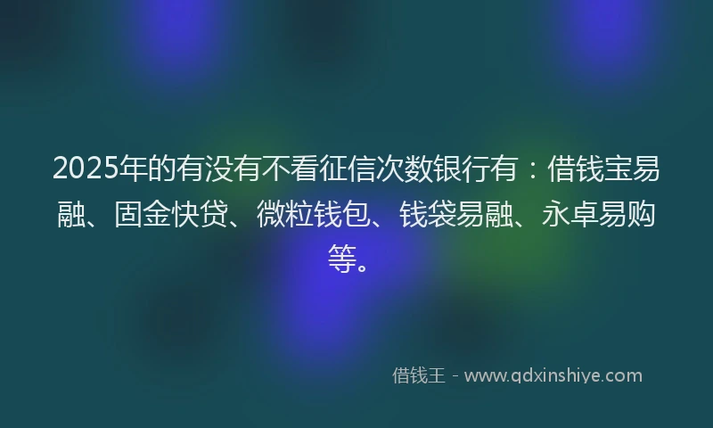 2025年的有没有不看征信次数银行有：借钱宝易融、固金快贷、微粒钱包、钱袋易融、永卓易购等。