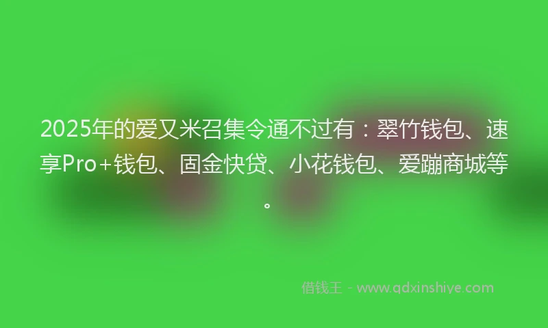 2025年的爱又米召集令通不过有：翠竹钱包、速享Pro+钱包、固金快贷、小花钱包、爱蹦商城等。