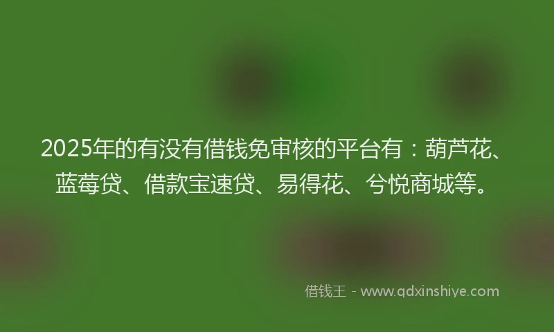 2025年的有没有借钱免审核的平台有：葫芦花、蓝莓贷、借款宝速贷、易得花、兮悦商城等。