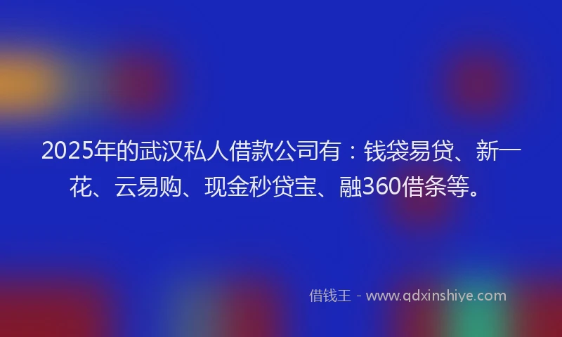 2025年的武汉私人借款公司有：钱袋易贷、新一花、云易购、现金秒贷宝、融360借条等。