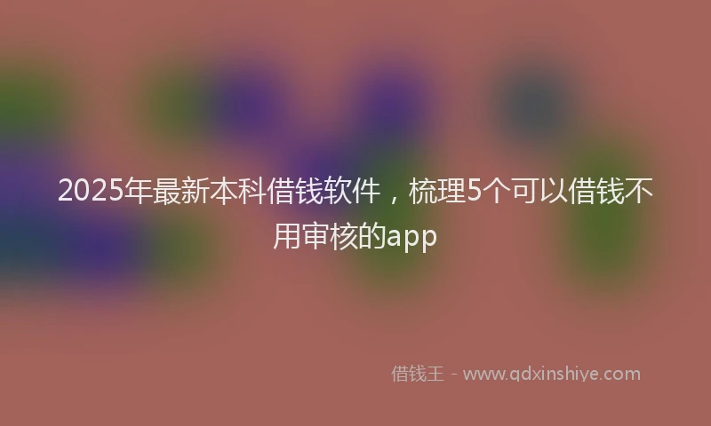 2025年最新本科借钱软件，梳理5个可以借钱不用审核的app